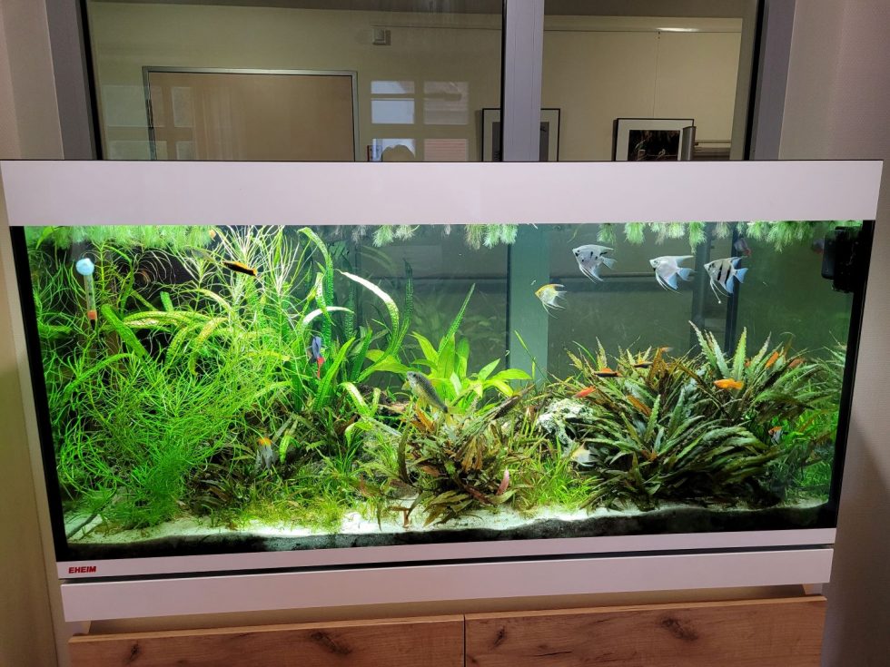 Hospiz, Fulda, St. Elisabeth, Pflege in den letzten Tagen